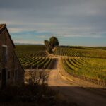 Dejaron Buenos Aires para instalarse entre los viñedos de Mendoza y no se arrepienten