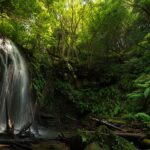 Olvidate de las Cataratas: esta caída de agua escondida ofrece la misma postal sin las multitudes