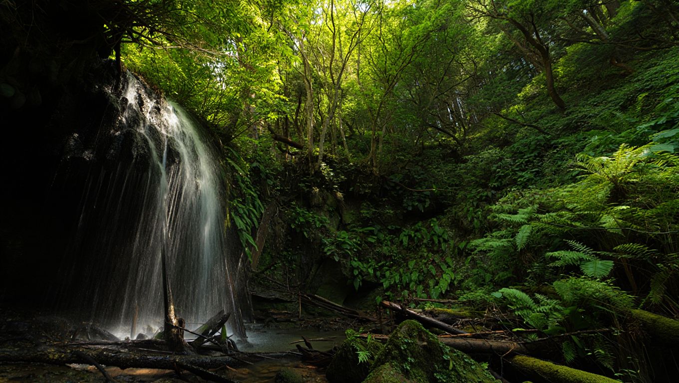 Olvidate de las Cataratas: esta caída de agua escondida ofrece la misma postal sin las multitudes