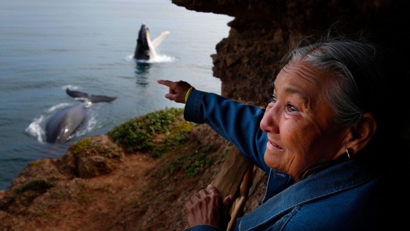 A los 85 años vio las ballenas por primera vez en Península Valdés: «Lloré cuando saltó la primera»