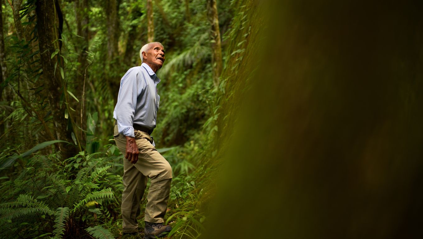 A los 86 años pisó por primera vez la selva de Misiones: «No sabía que existía algo así»