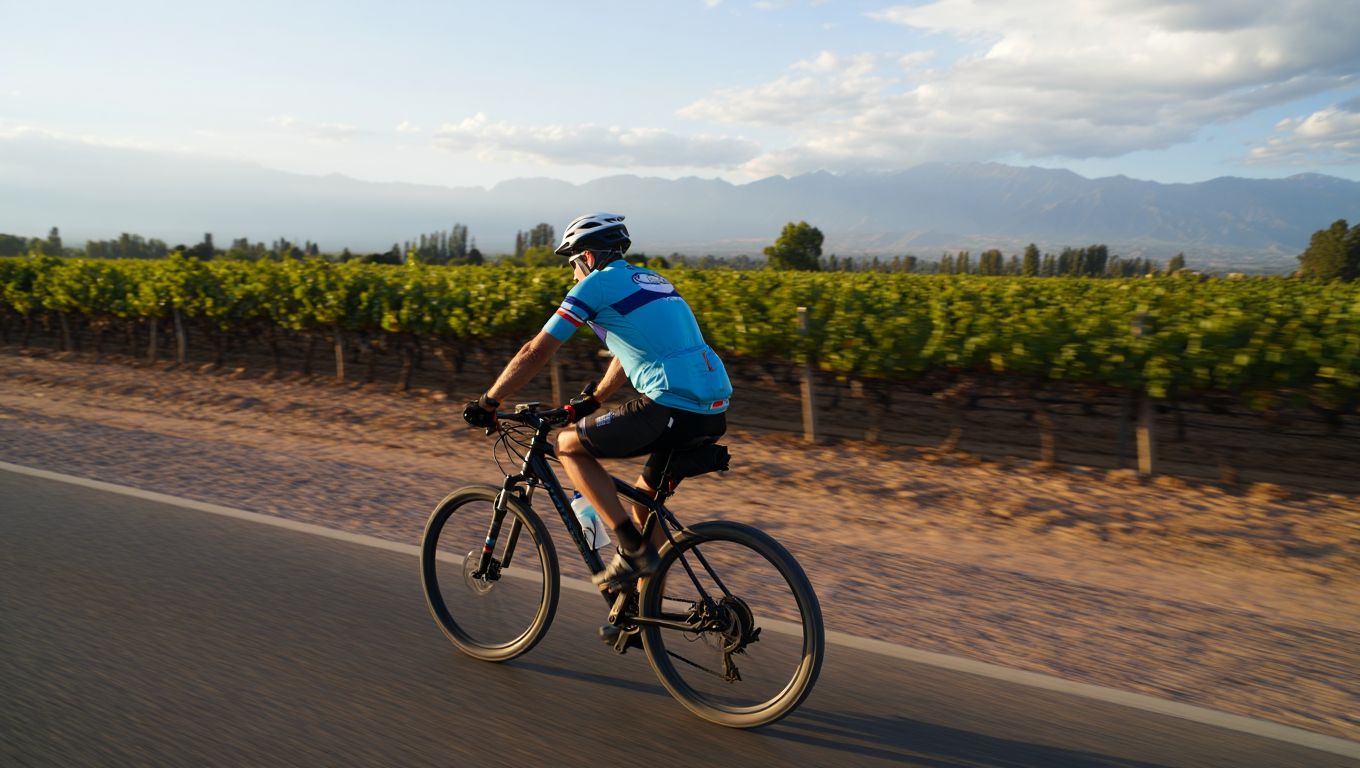 Esta ruta del vino en Mendoza fue elegida la mejor de Sudamérica para recorrer en bici