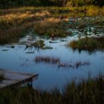 Más caudaloso que el Iberá y más tranquilo que Corrientes: este humedal del litoral casi nadie lo visita
