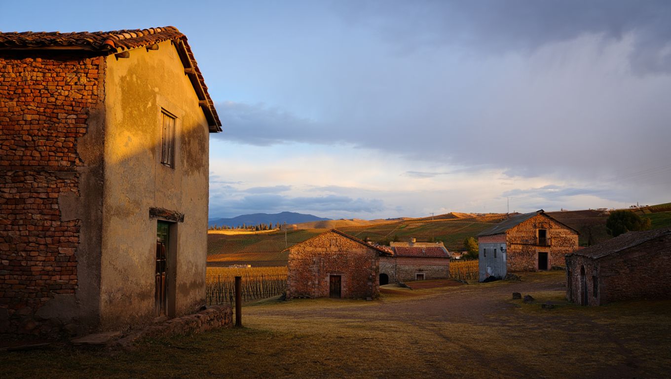 Olvidate de Mendoza capital: este pueblo de montaña tiene las mismas bodegas sin el turismo