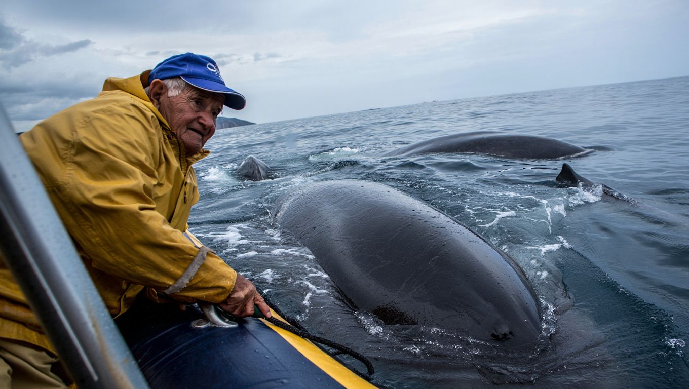 Tiene 78 años y navega entre ballenas en Península Valdés: «Me temblaban las manos»