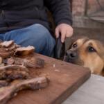 Los veterinarios coinciden: darle sobras del asado al perro el fin de semana es peor de lo que parece y explican por qué